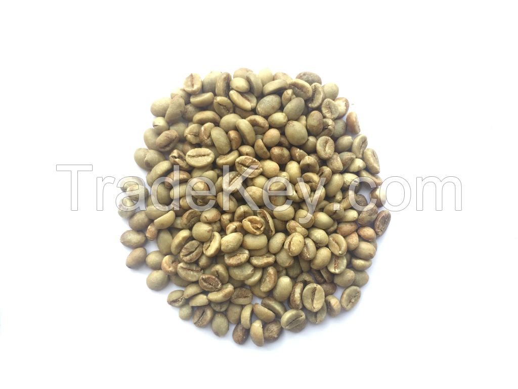 robusta coffee bean