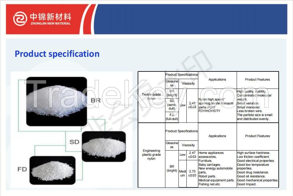 NYOLN 6 CHIPS / PA6 CHIPS