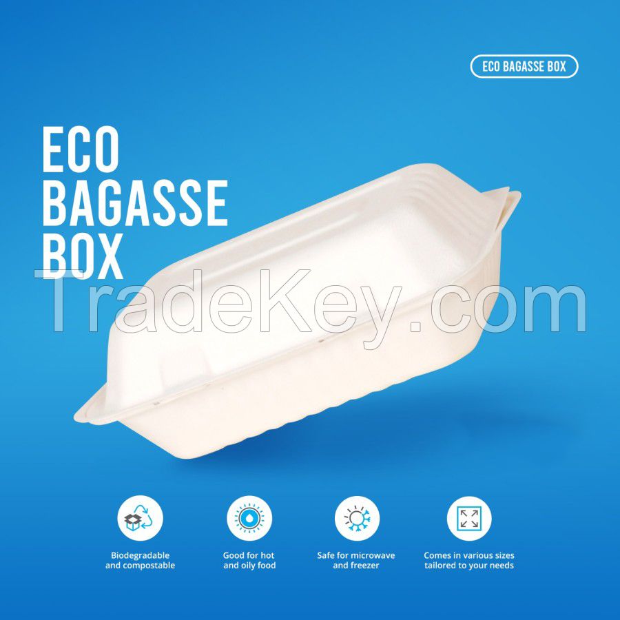 Bagasse Food Container Box Biodegradable