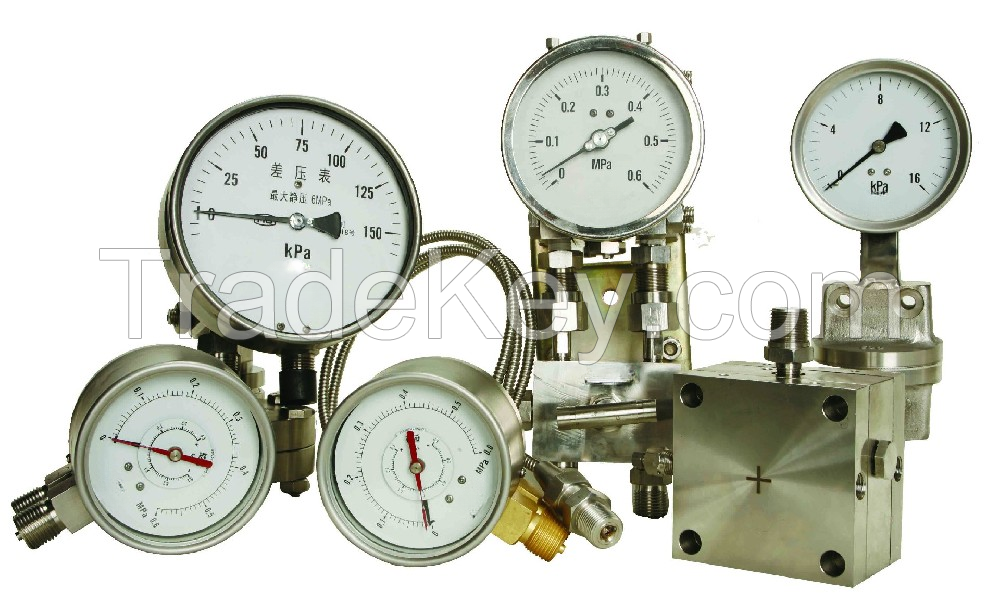 pressure gauges China factory-eagle eye instrument