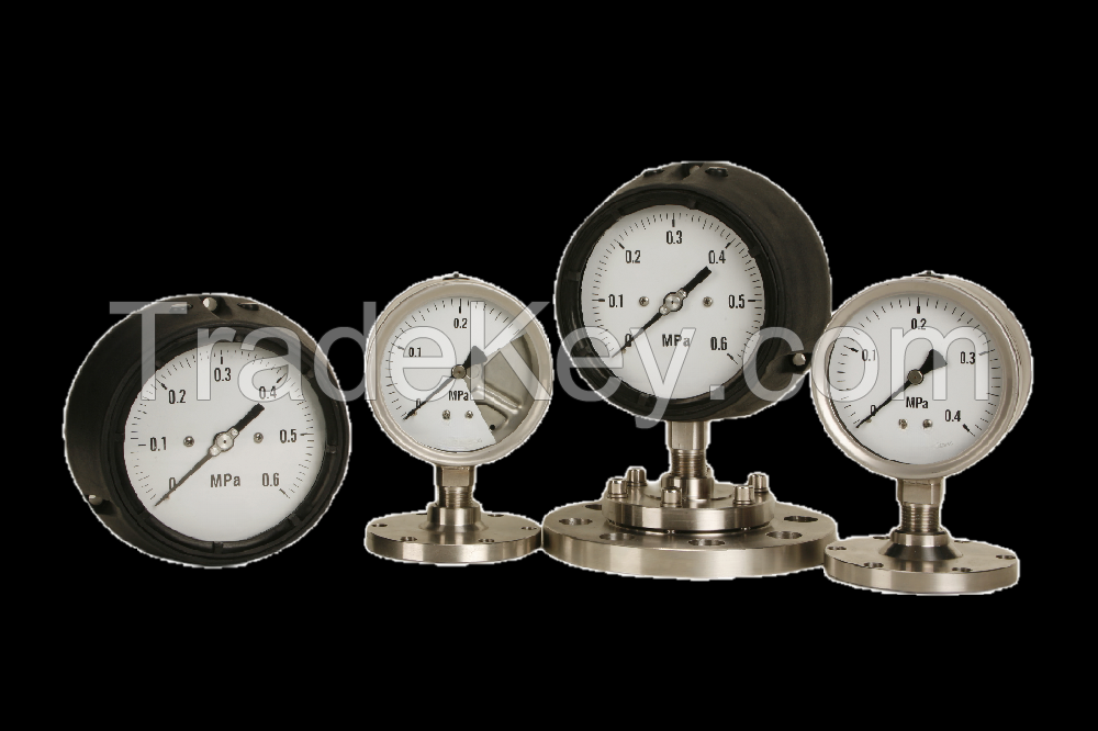 Ma 'anshan Eagle Eye Instrument Co., Ltd , pressure gauges top 10 supplier in China