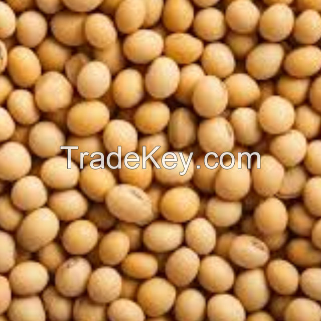 Soybeans 