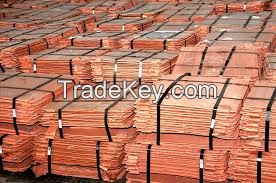 Copper Cathode