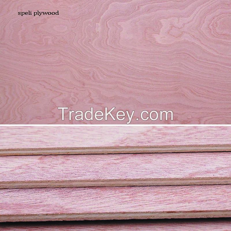 Leader Sapeli Plywood