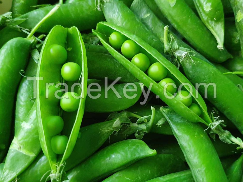 Sugar Snap Peas