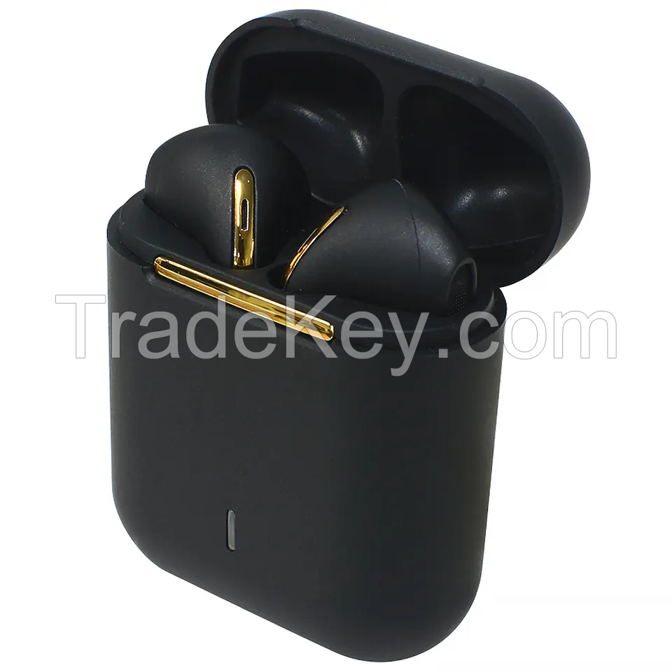 TWS Earbuds-TWS01