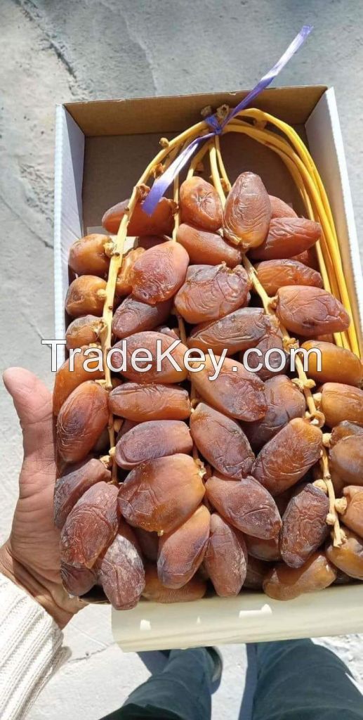 Fresh Dates 