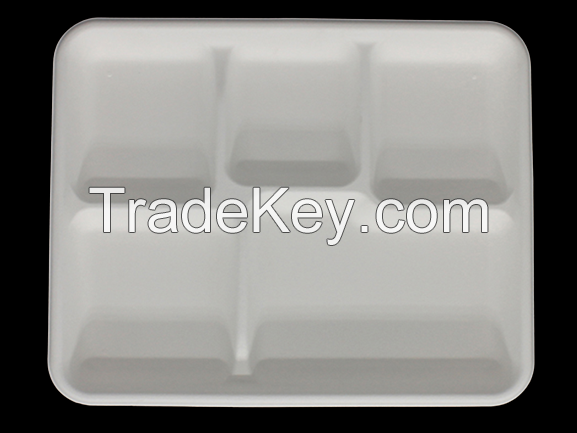 Disposable biodegradable bagasse tableware