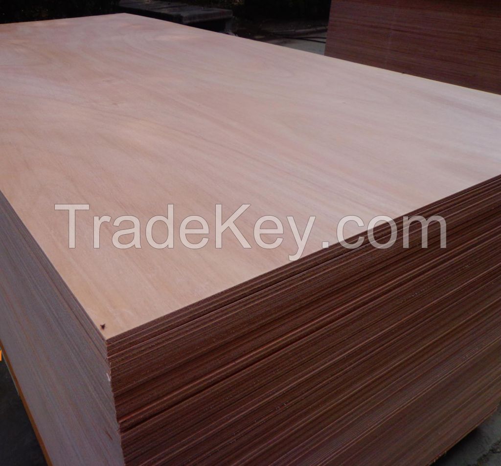 beech plywood commercial plywood used for furniture or on kitchen cabinets