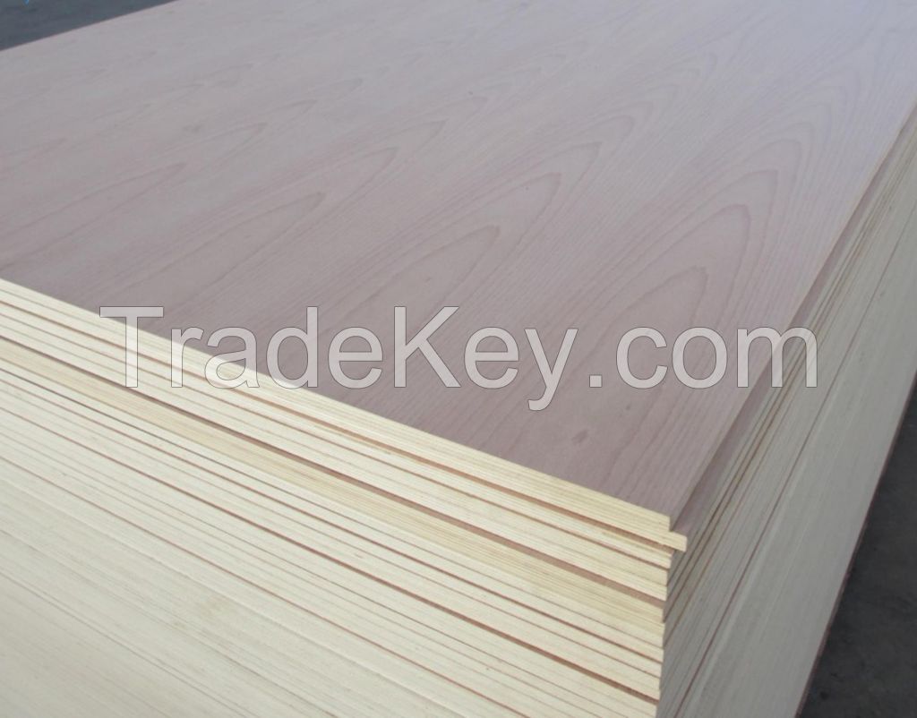 beech plywood commercial plywood used for furniture or on kitchen cabinets