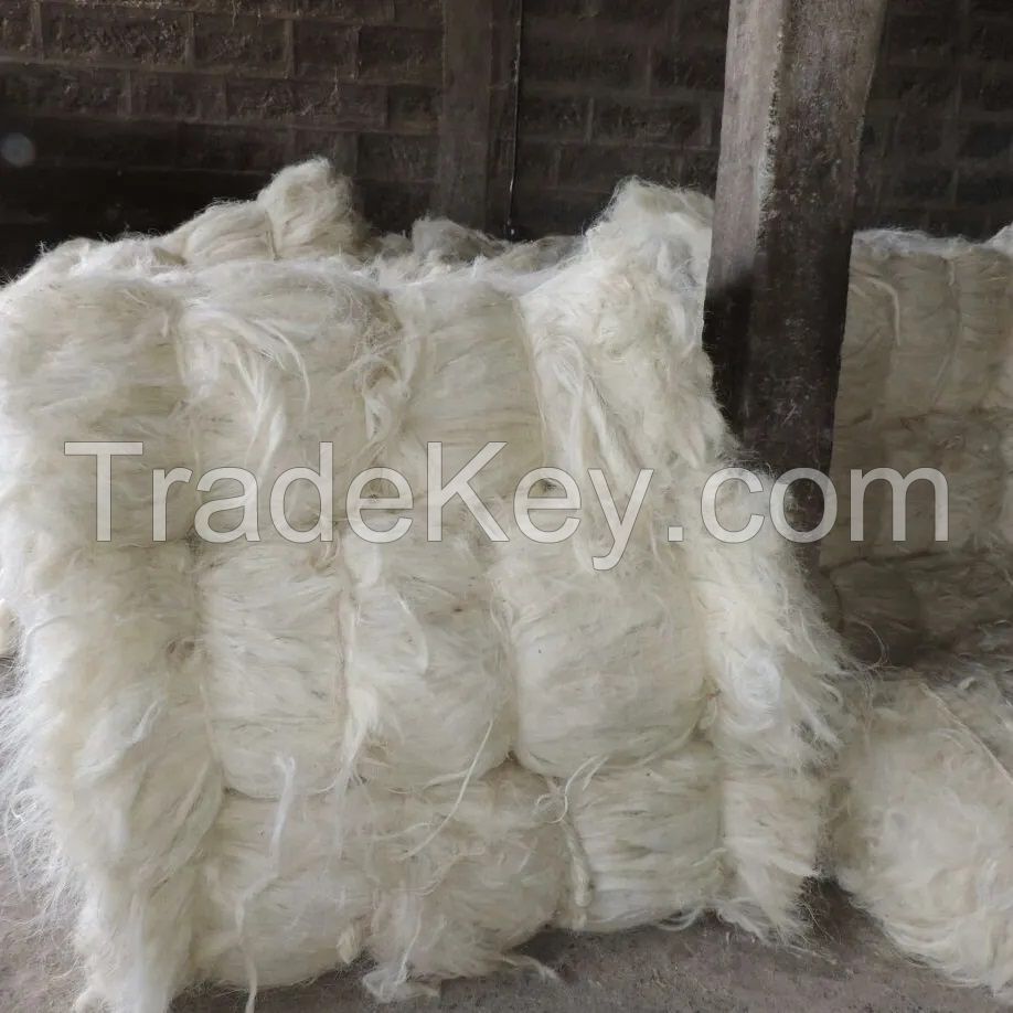 Sisal Fiber