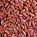 Best beans