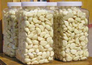 Quality peeled garlic