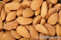 Quality ALMOND NUTS