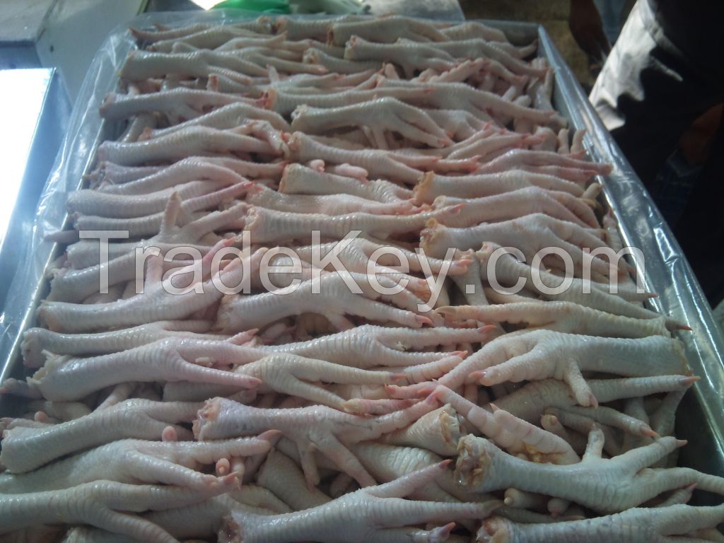 Frozen chicken feet paws in bulk for sale, chicken feet