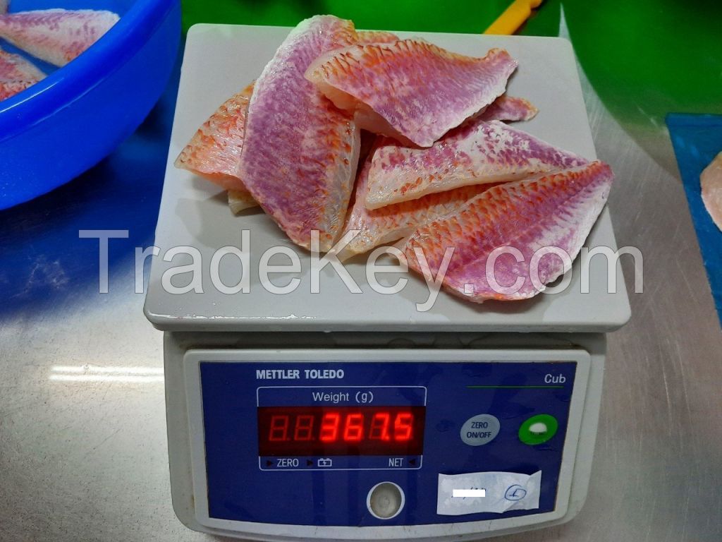 Frozen Red Mullet Fillet