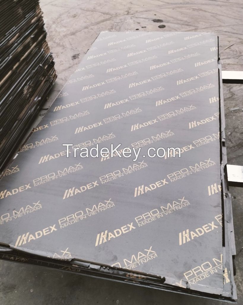 Eucalyptus Shuttering Plywood