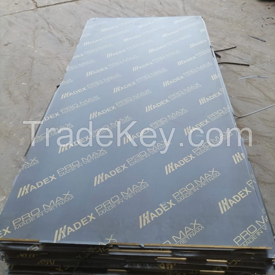 Eucalyptus Shuttering Plywood