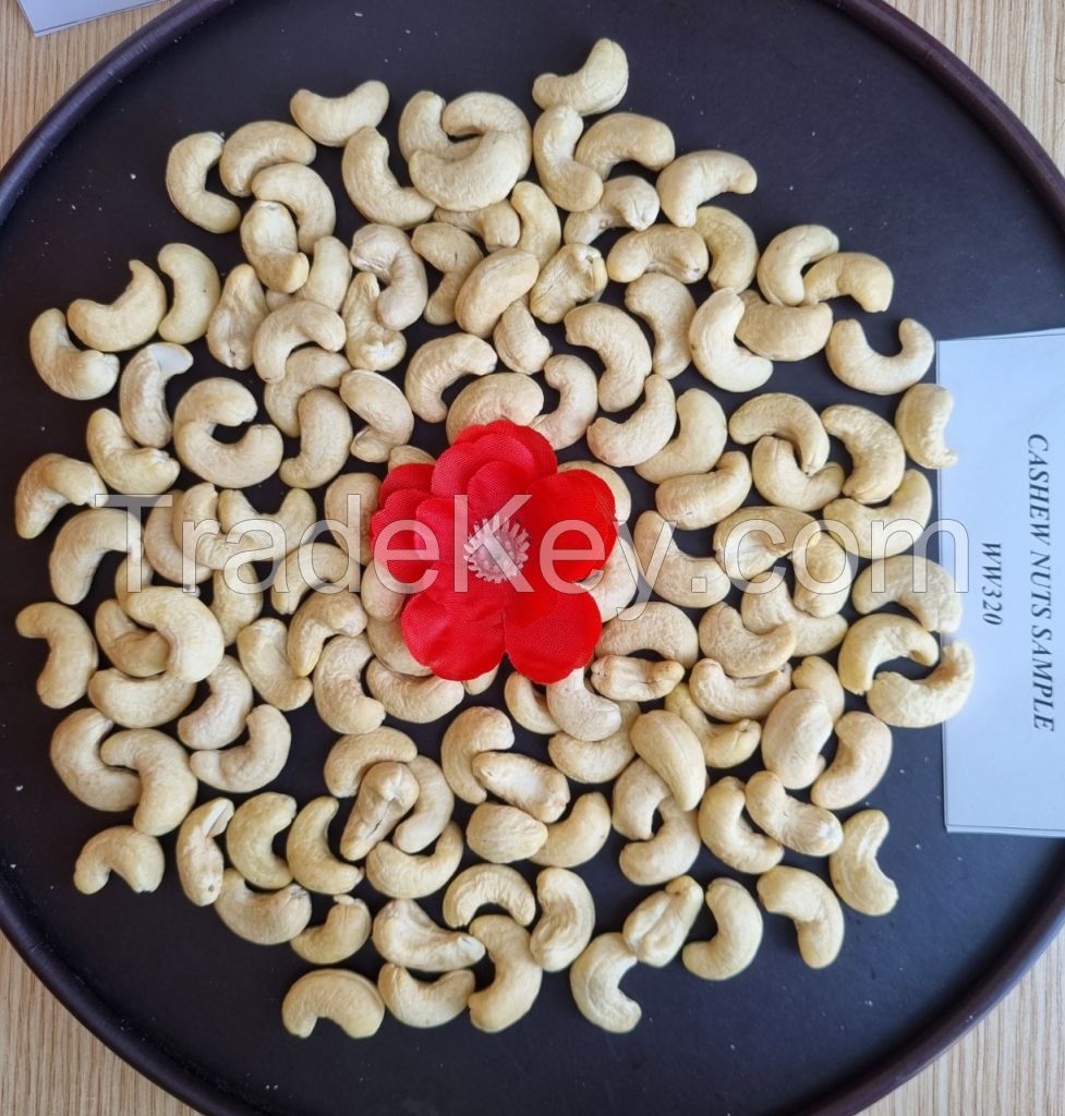 VIETNAM CASHEW NUTS WW320 AFI STANDARD FOR EXPORT