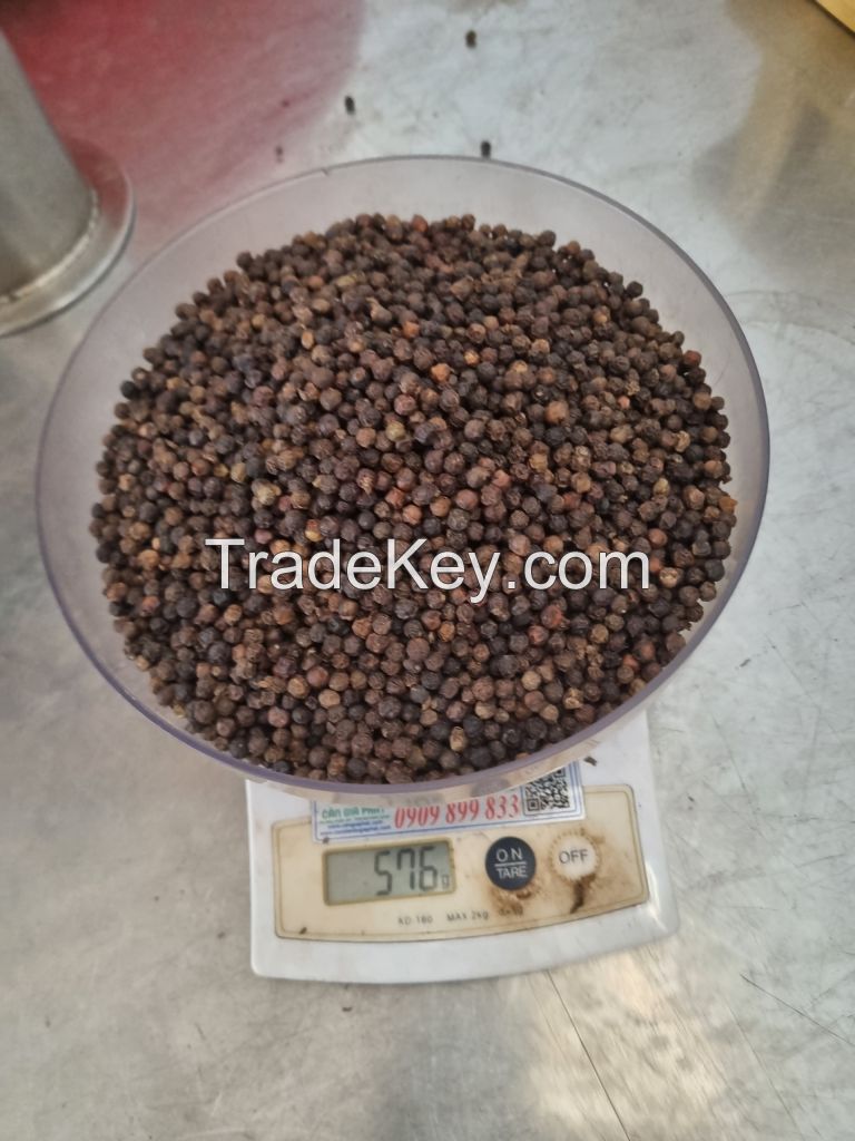 VIETNAM BLACK PEPPER 500G/L CLEANED ASTA FOR SALE