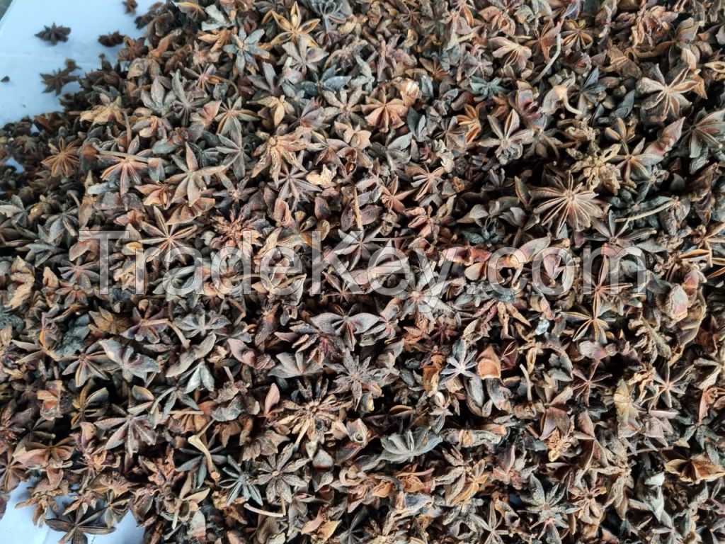 VIETNAM STAR ANISE VARIOUS QUALITY REASONABLE PRICE for sale