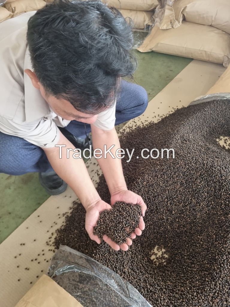 VIETNAM BLACK PEPPER 500G/L CLEANED ASTA FOR SALE