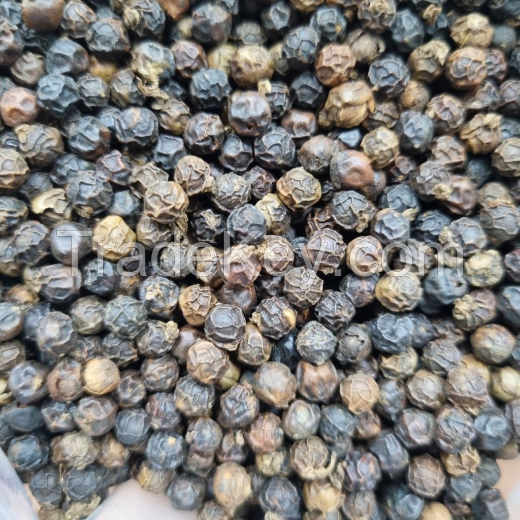 VIETNAM BLACK PEPPER 500G/L CLEANED ASTA FOR SALE