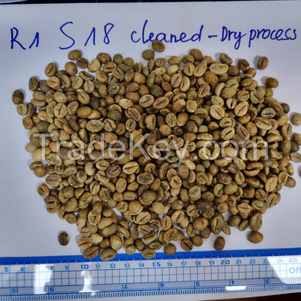 Robusta Coffee Beans S18 cleaned Good quality for buyers