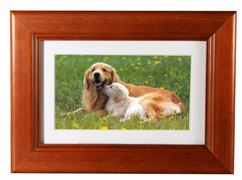 Digital photo frames