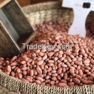 Groundnut/Peanuts