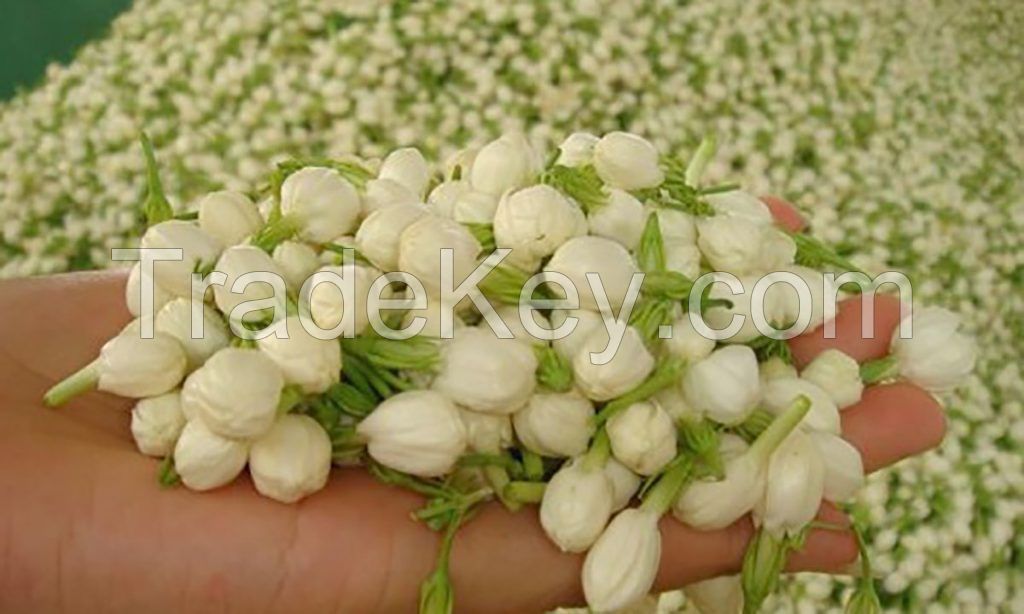 White Jasmine Flowers