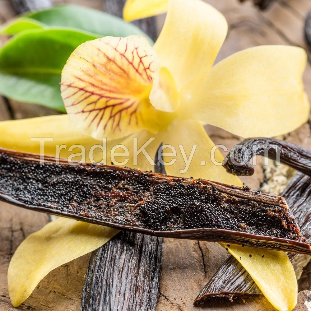 Vanilla Beans