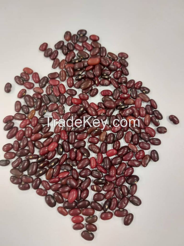 Red Kidney Beans