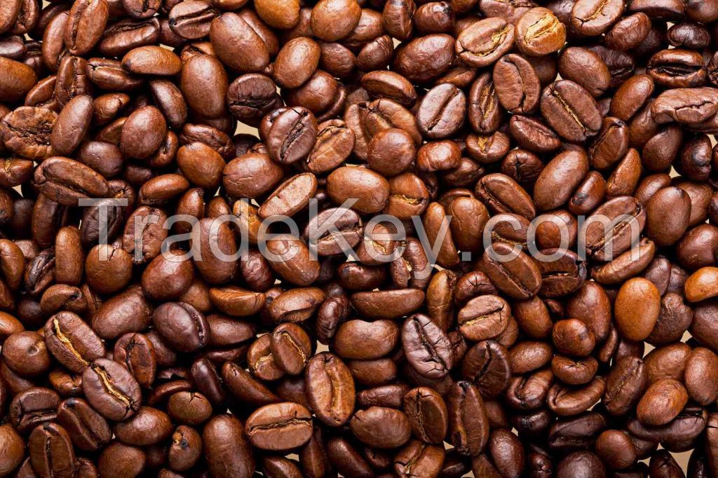 Coffee Beans Coffee Beans Export High Quality Arabica Green Coffee Beans