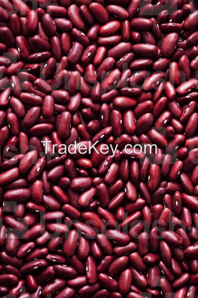 Kidney Bean, white/red/all types very good for the body contains a large amount of fiber vegetable protein