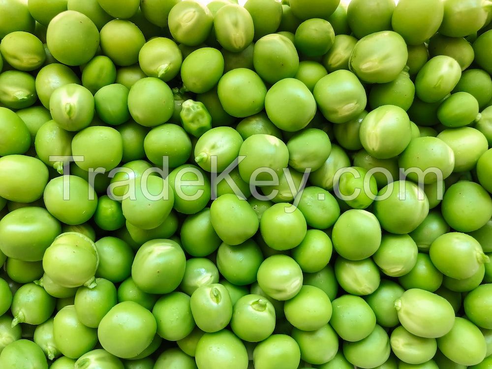 Natural Grade Organic Green Peas Hot Sale Factory Price Green Peas Supplier 
