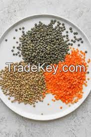 High Quality Bulk Dried whole split Lentils Red Lentils Green Lentils Lentils(Red, Green, black and white)