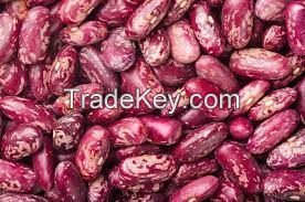 Kidney Bean, white/red/all types very good for the body contains a large amount of fiber vegetable protein