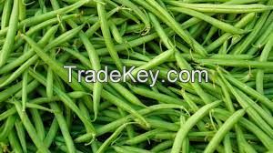 French Green Bean For Sale Wholesale Price Premium Quality Organics Tastes Freshness and Highs Sweetness South Africa Manufacturing