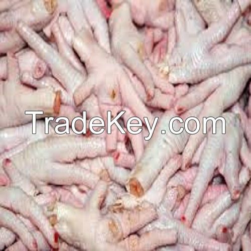 Frozen Whole Chicken /Chicken Feet paws/Fresh Chicken