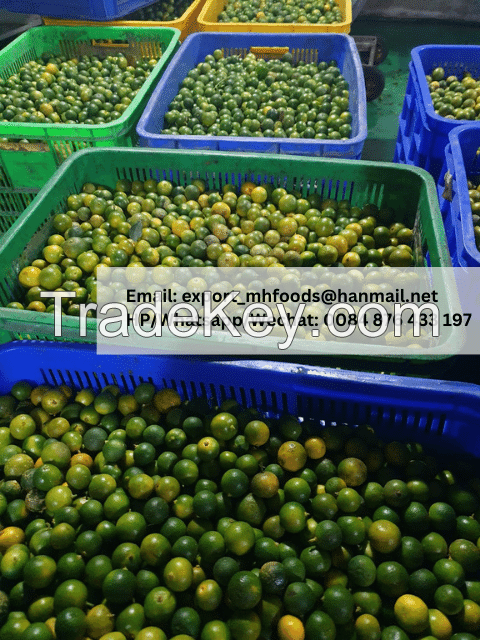 100% PREMIUM GRADE FROZEN CALAMANSI JUICE SWEET TASTE BEVERAGES ORIGIN VIETNAM WS 0084876433197