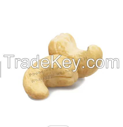 W240 CASHEW NUT