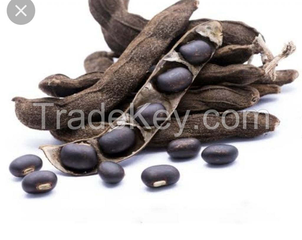 Mucuna Pruriens Seeds