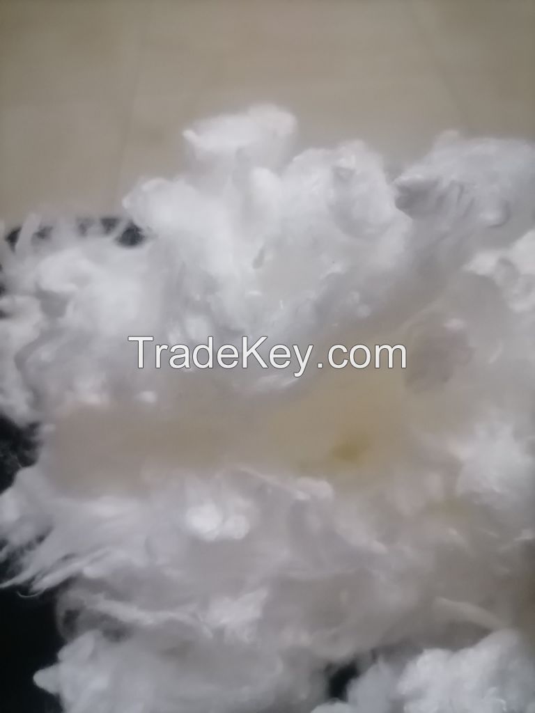 viscose staple fiber