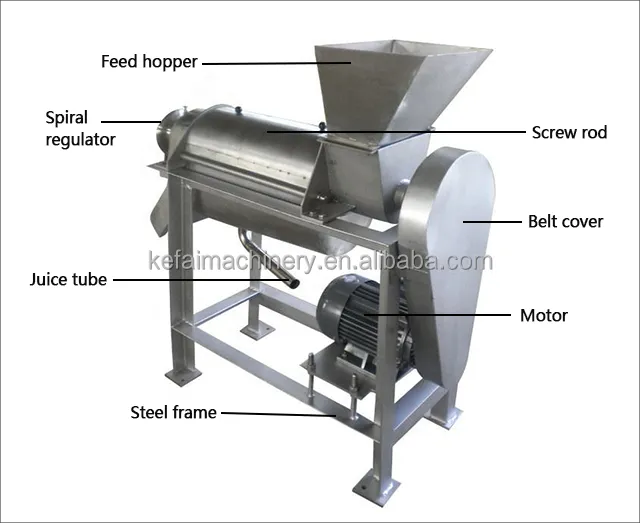 KEFAI High Quality  Fruit Vegetable Juice Extractor Machine Cold Press Juicer Extractor Machine