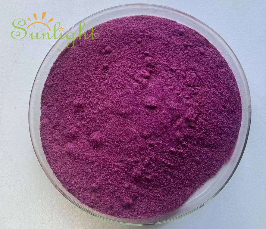 Black Elderberry Extract Powder 5:1