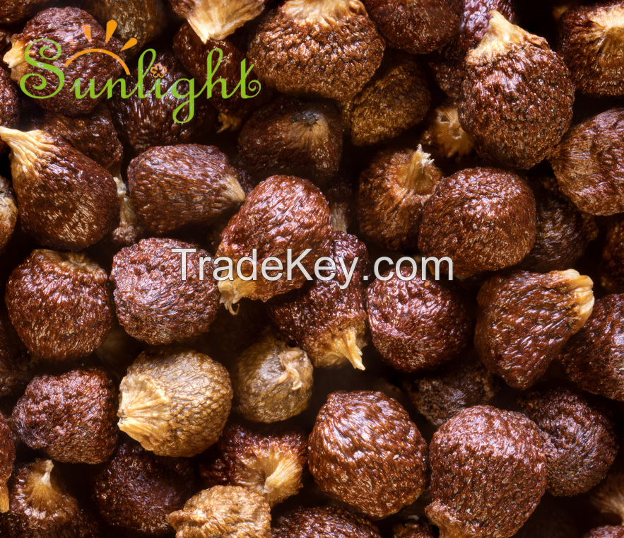 Grains of paradise Extract Powder 6-Paradol 12.5% HPLC