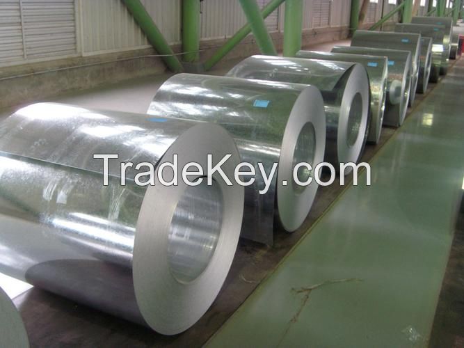 Galvanized Steel Coil