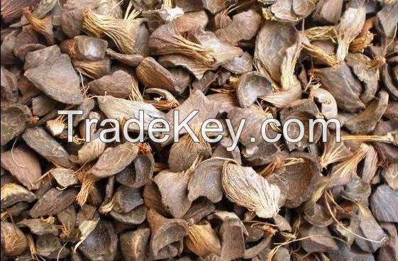 palm kernel shell