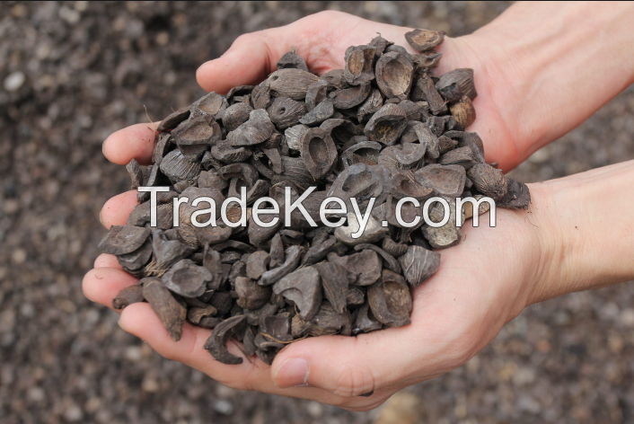 palm kernel shell